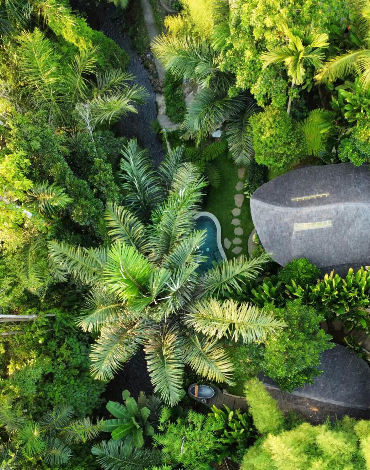 Wahem Eco Bamboo - Magical Bamboo House Ubud Bali Villa Dış mekan fotoğraf